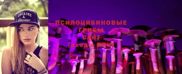 тгк Алексин
