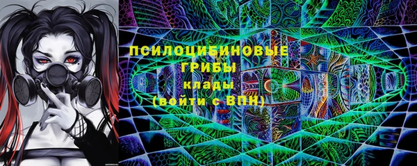 тгк Алексин