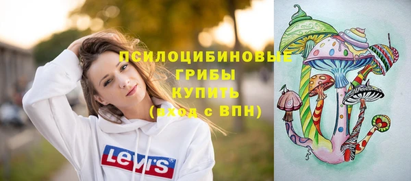 МДПВ Алексеевка