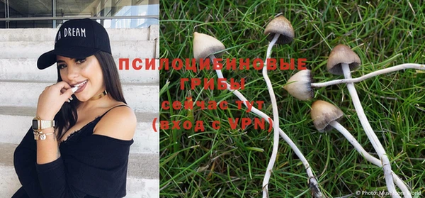 МДПВ Алексеевка